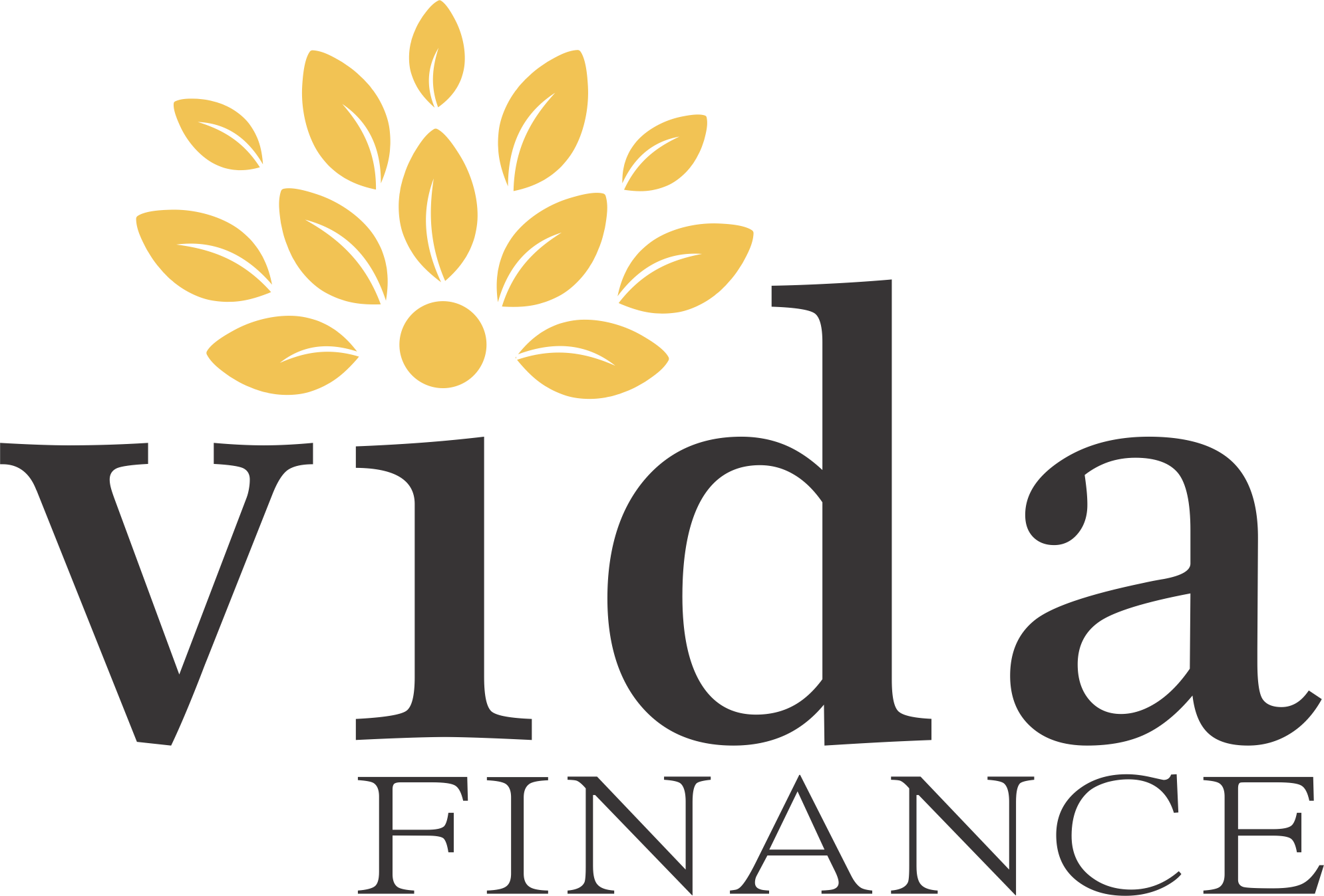 Vida Finance